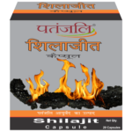 Patanjali Ayurveda Shilajit Capsule