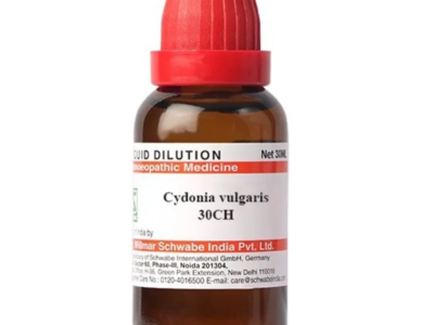 Dr Willmar Cydonia Vulgaris Dilution 30 CH
