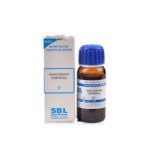SBL Anacardium Orientale Mother Tincture Q