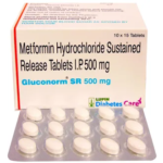 gluconorm sr 500mg tablet
