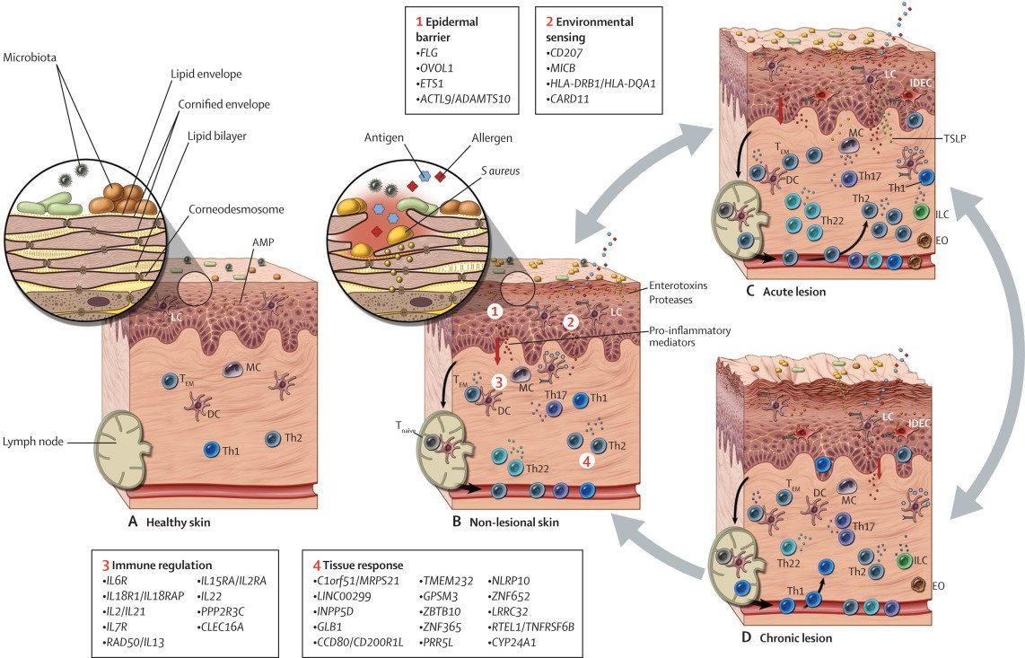 KUDOS Skar Vanish Kit Scar Pigmentation Kit - Image 4