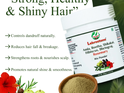 Lebrostone Herbal Shampoo Powder 100g
