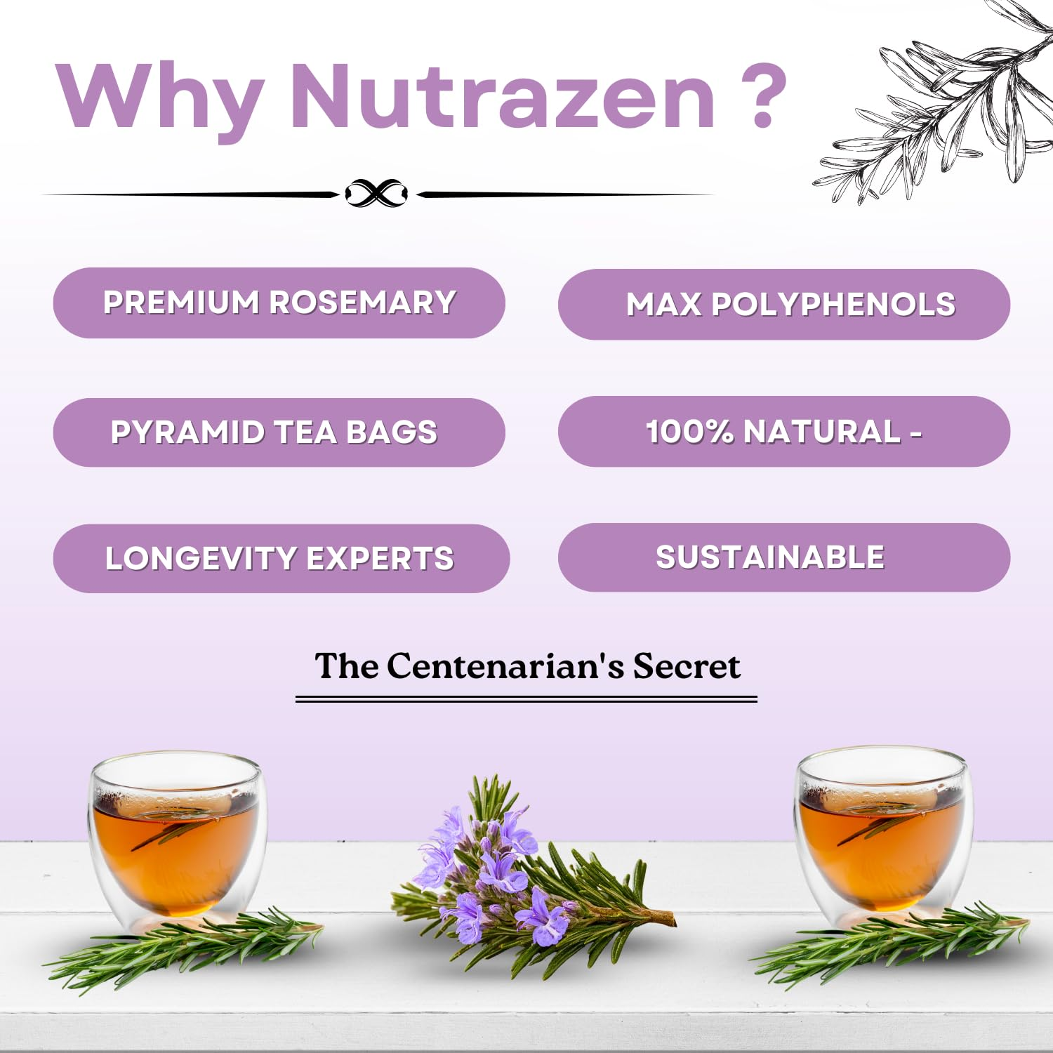 Nutrazen Eternal Brew Rosemary Tea - Image 7