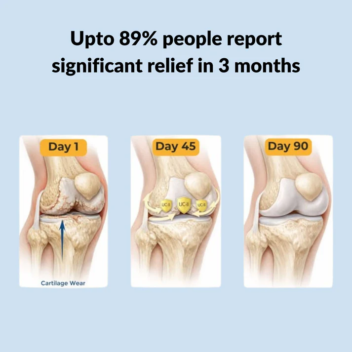Cartilage & Joint Support Supplement - Image 3