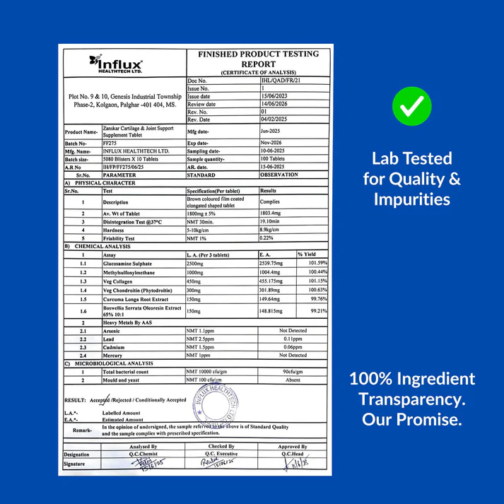 Cartilage & Joint Support Supplement - Image 12