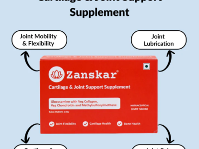 Cartilage & Joint Support Supplement