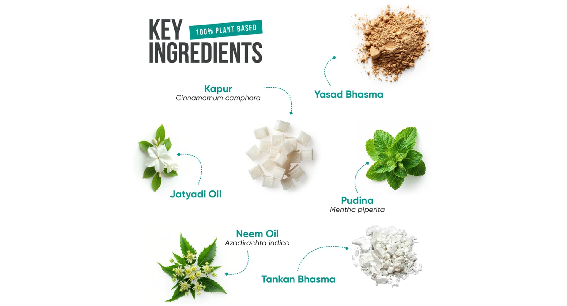 Anoac Cream key ingredients Jatyadi oil camphor neem