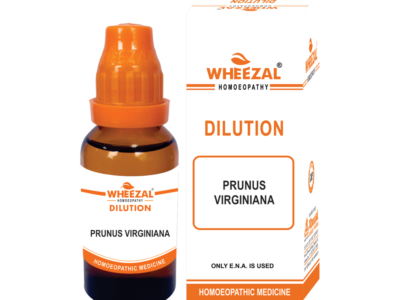 Wheezal Pulsatilla Nigricans Dilution 1M
