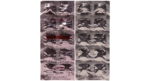 Finacet 1 mg Tablet Kivi Labs finasteride 1 mg strip of 10 tablets