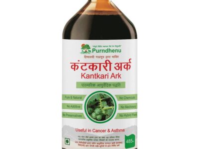 Purndhenu Kantkari Ark bottle, 485 ml