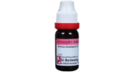 Dr. Reckeweg Arnica Mont Dilution 200 CH