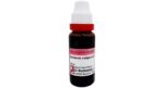 Dr. Reckeweg Berberis Vulgaris Mother Tincture Q