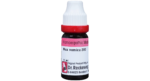 Dr. Reckeweg Nux Vomica Dilution 200 CH