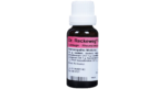 Dr. Reckeweg R11 Rheumatism Drop