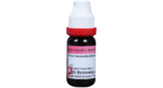 Dr. Reckeweg Rhus Tox Dilution 200 CH