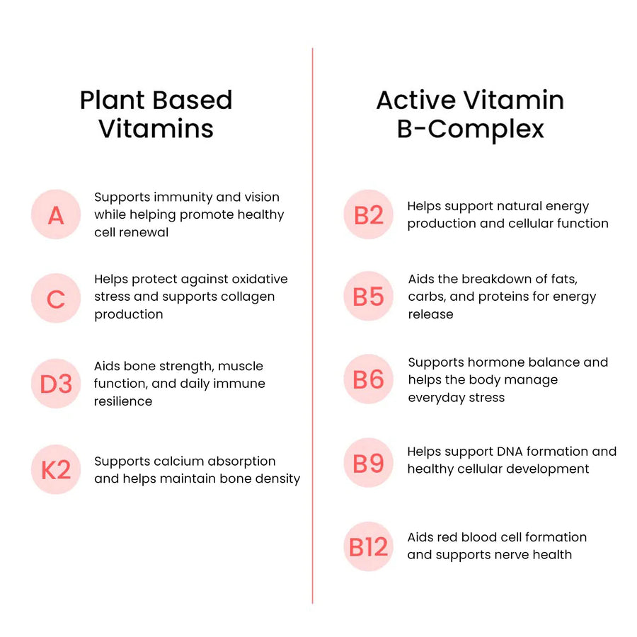 Wellbeing Nutrition Melts Into Multivitamins Oral Strip - Divine Alphonso Mango - Image 3