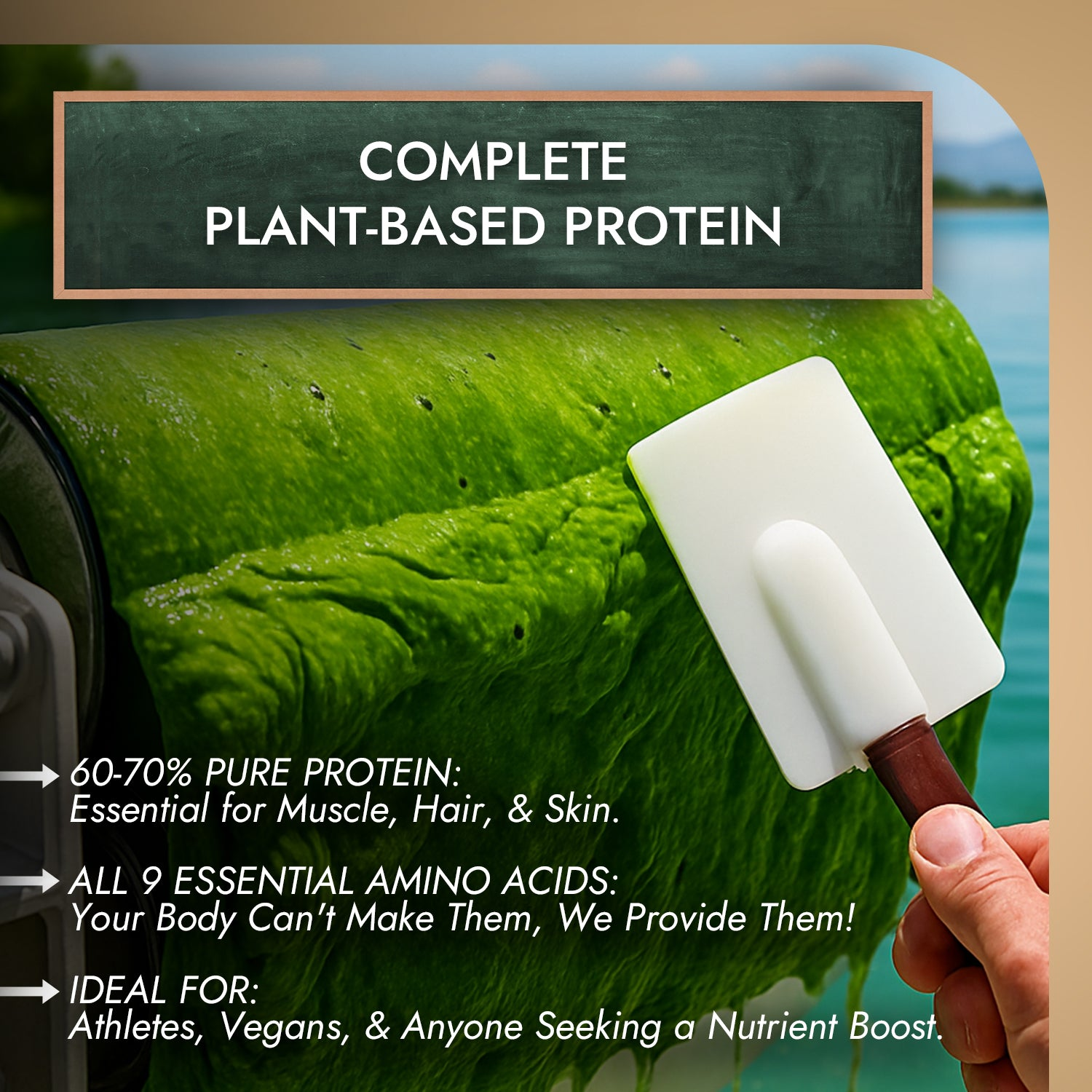 Nutriorg Spirulina Powder - Image 6