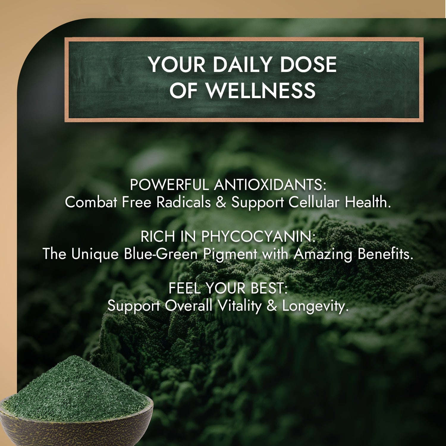 Nutriorg Spirulina Powder - Image 4