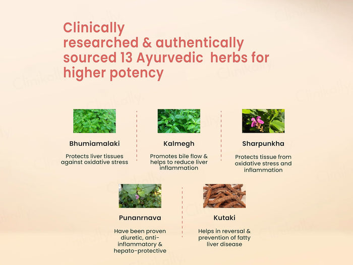 Vedistry Liver Care Ayurvedic Tablet - Image 4