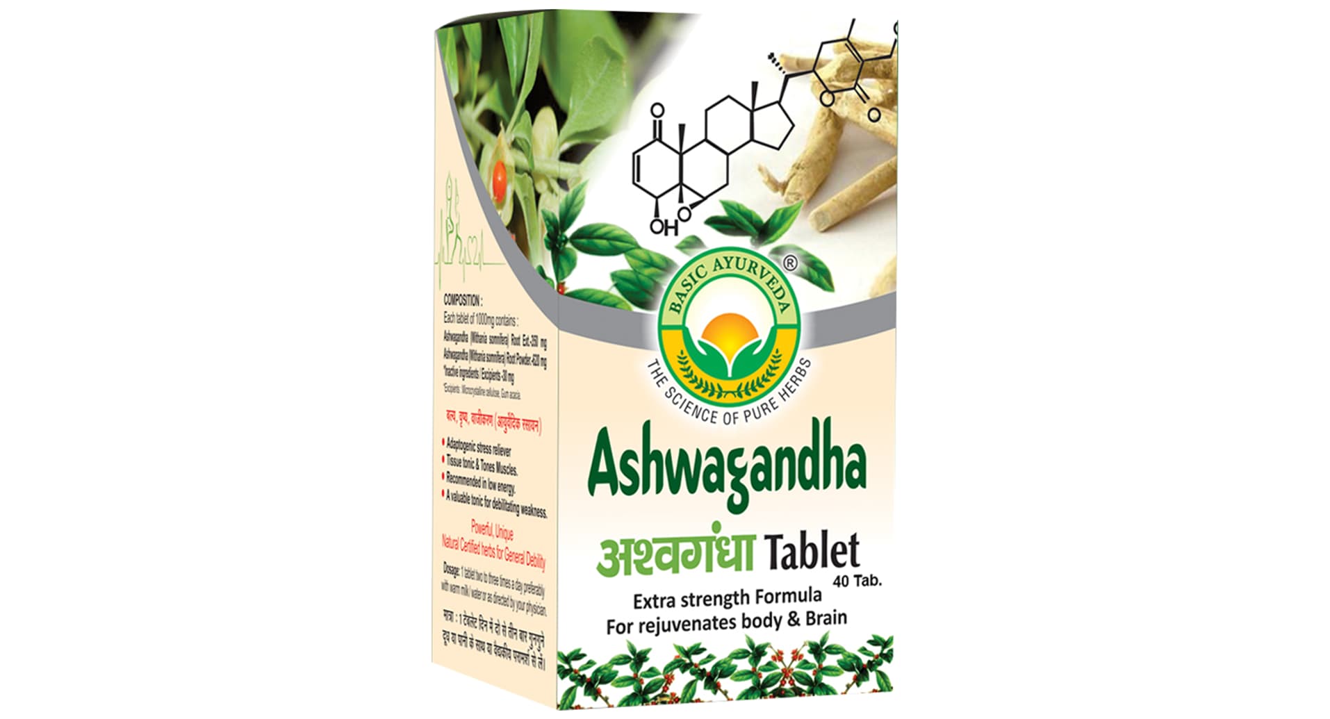 Basic Ayurveda Ashwagandha Tablet