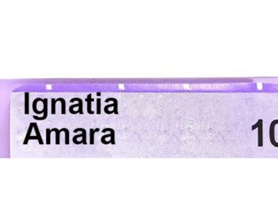 Boiron Ignatia Amara Single Dose 10M CH