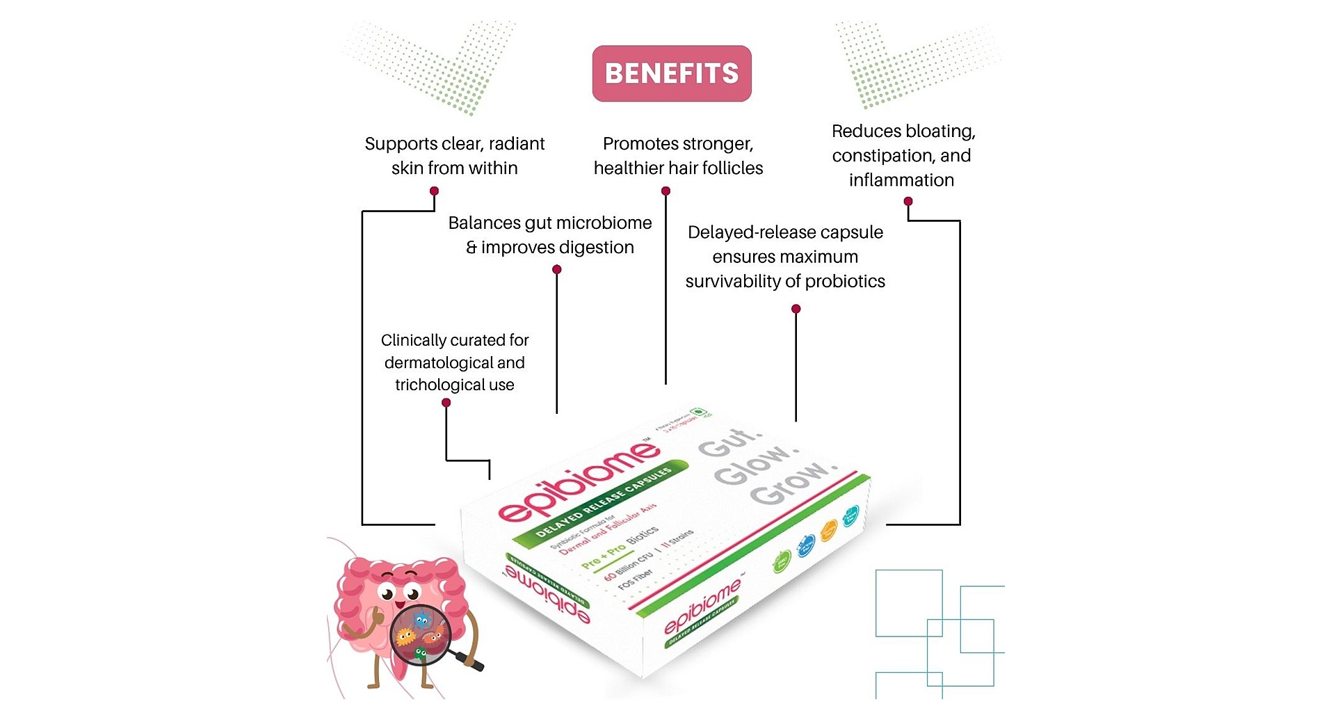 Epibiome Synbiotic Capsules