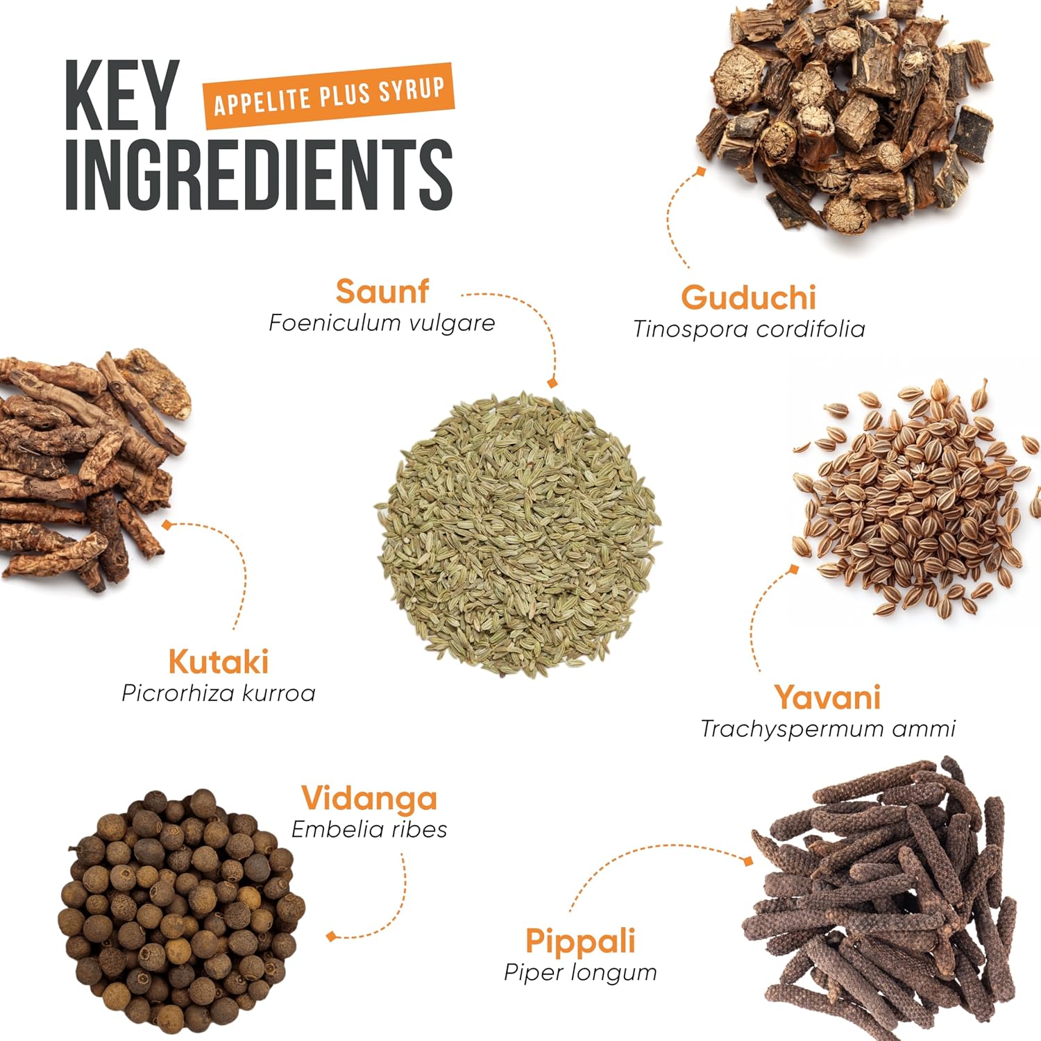 Healing Hands Acidity and Indigestion Kit pack detail view