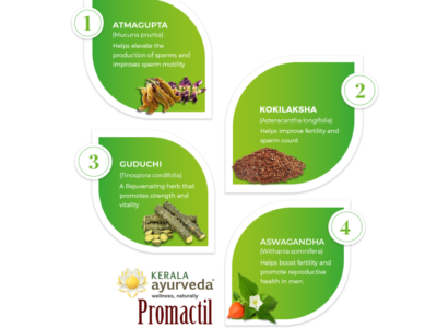 Kerala Ayurveda Promactil Capsule