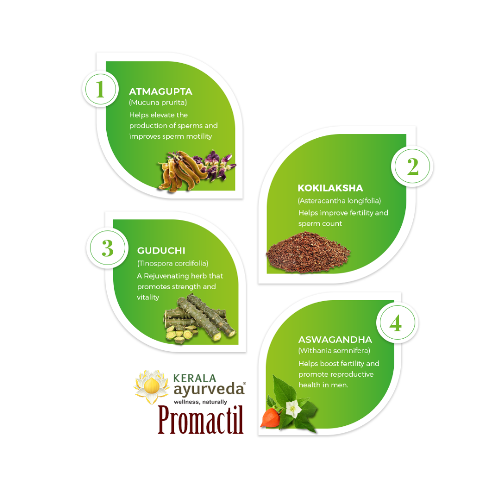 Kerala Ayurveda Promactil Capsule