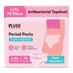 Plush High Waist Period Panty