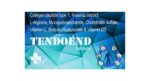 Tendoend Tablet