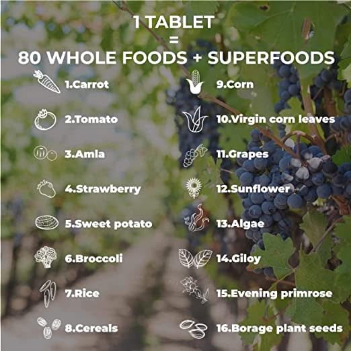 Zeroharm Best Whole Food Multivitamin Tablets for Women image 8